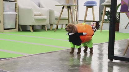 Pet Halloween Pumpkin Decorations for Clothes
